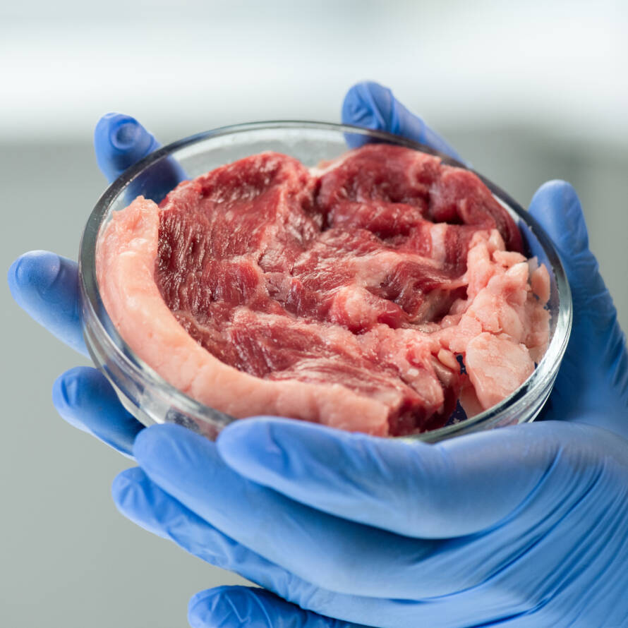 cultivated meat